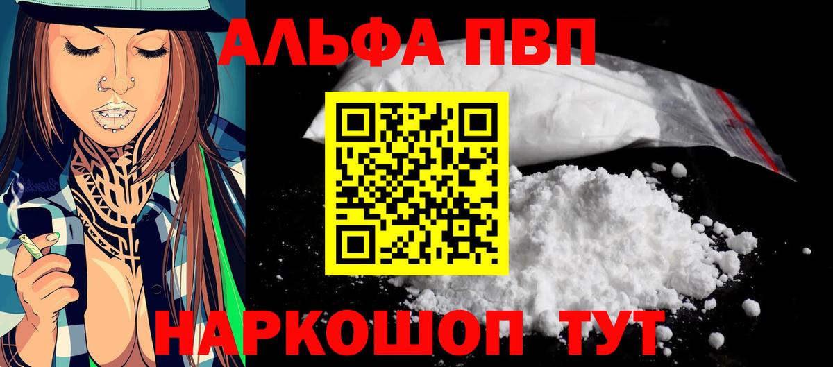 Альфа ПВП СК Кириши