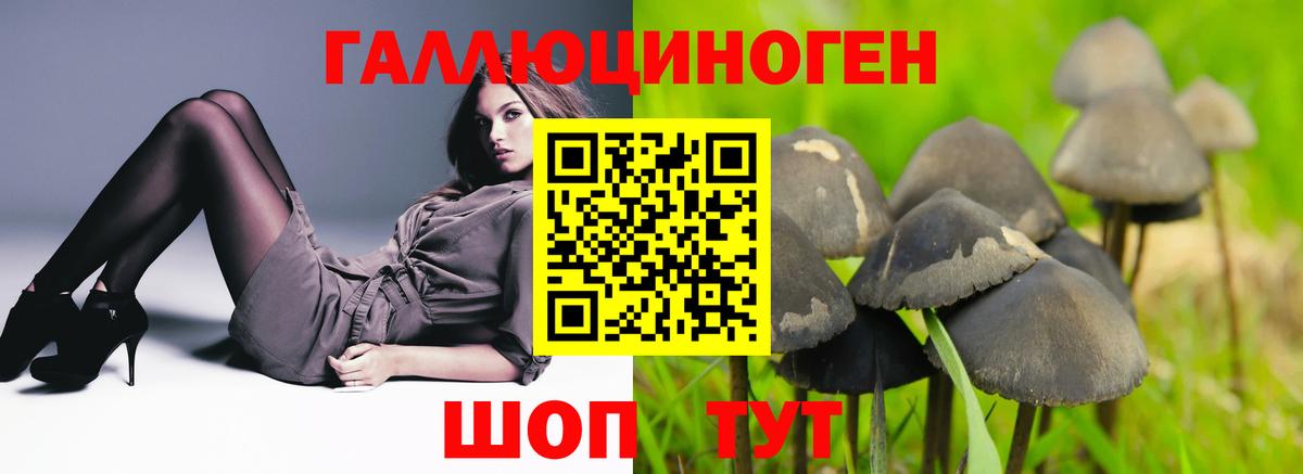 Галлюциногенные грибы GOLDEN TEACHER  Галлюциногенные грибы Cubensis  Кириши  Вход с VPN 